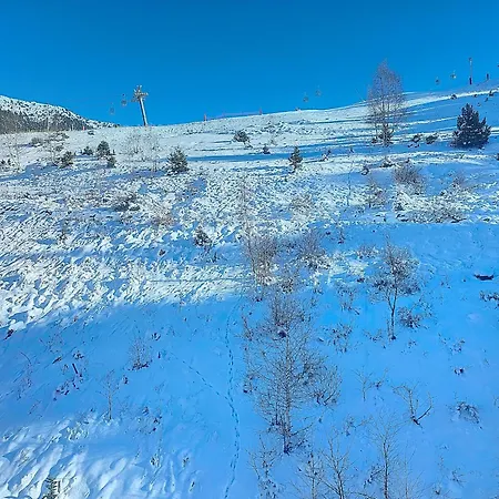 1650 - Mountain View - Snow Front 7s10 * Courchevel